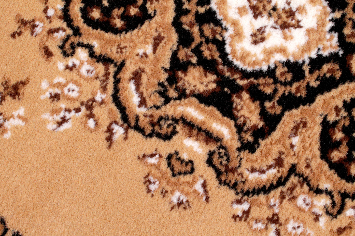 TRADITIONAL POLY LANCASHIRE BERBER